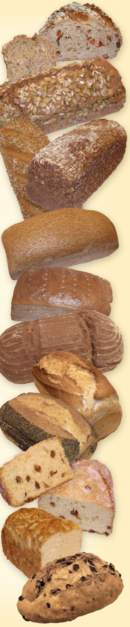 brote_brötchen